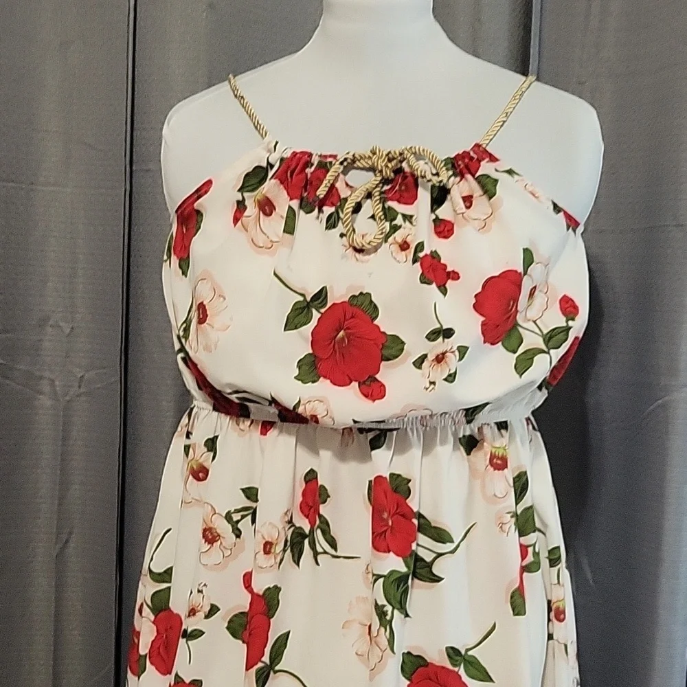 Sundress - Picture 5 of 8
